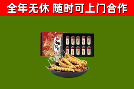 阿城回收冬虫夏草价格